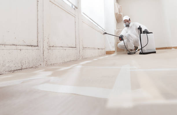 Black mold remediation team in Fuquay-Varina